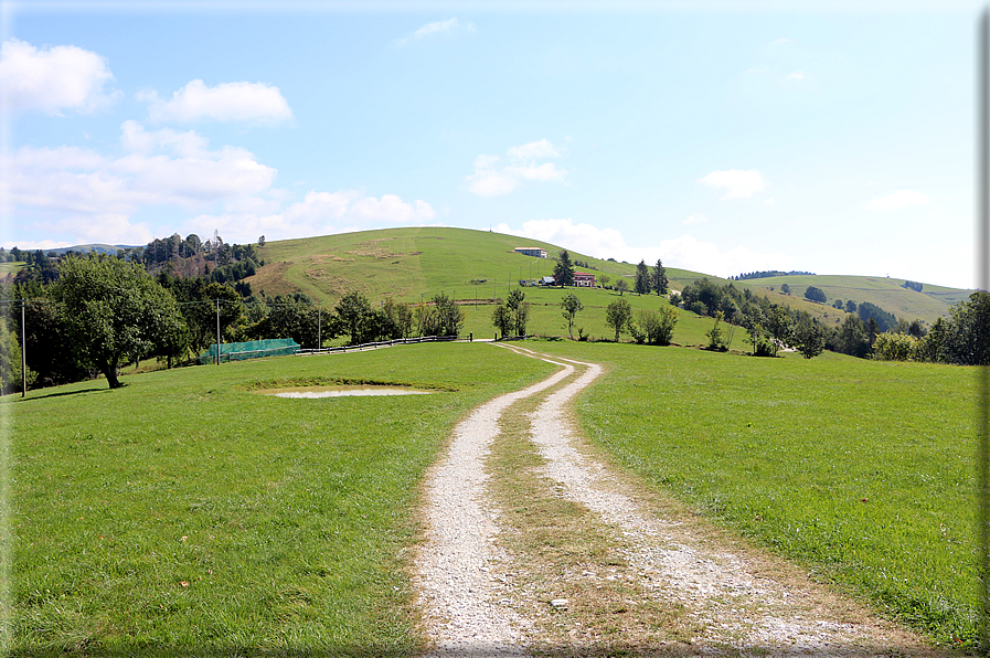 foto Col Moschin